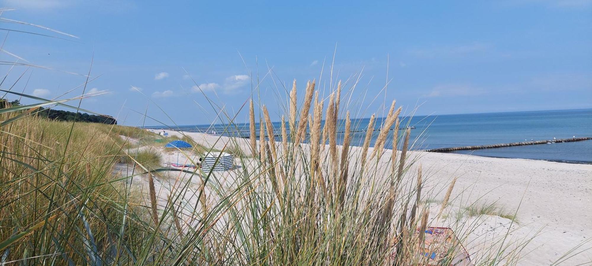 Residenz Am Strand Wohnung 1-21 Zingst Exterior photo